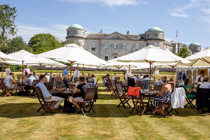 Librarylawn3